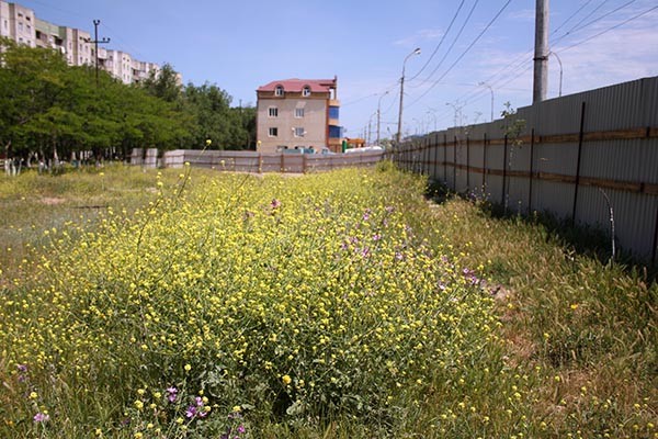 Единственная парковая зона в Научном  городке на грани исчезновения