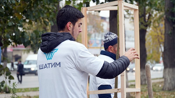 Каждое деревце защищено от  ветра надёжной конструкцией